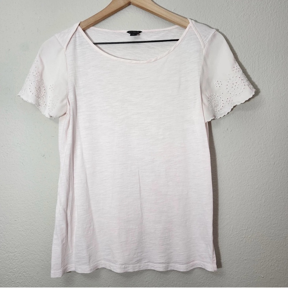 Ann Taylor‎ - Blush Eyelet Tee